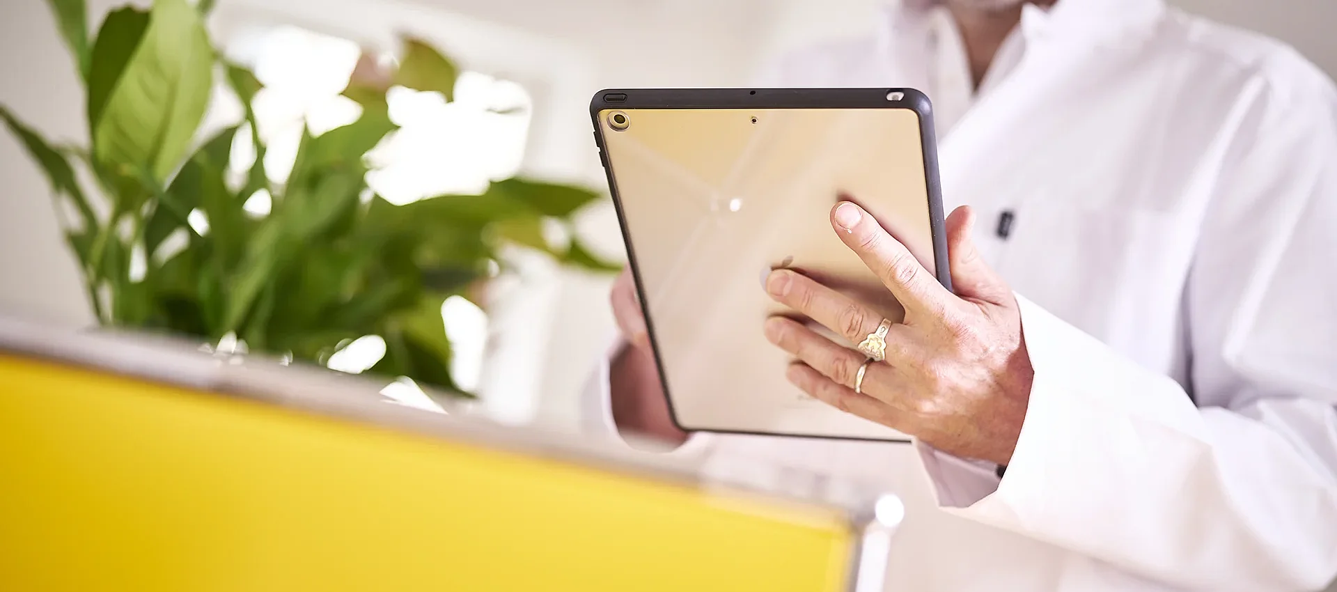 Arzt in weißem Kittel arbeitet mit einem Tablet, Ansicht aus der Perspektive über einer gelben Praxistheke mit Grünpflanze im Hintergrund